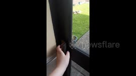 Newsflare Edit - Bin trapped us in house Storm ali