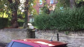 Tree crushes car in Priory Road Sheffield during storm Ali