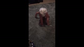 Diapered baby attempts his first somersaults all by himself