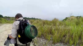 Prospecting Fossil hunting abandoned limestone quarry