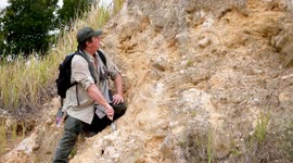 Prospecting Fossil hunting abandoned limestone quarry
