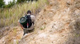 Prospecting Fossil hunting abandoned limestone quarry