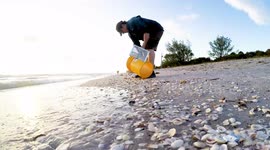 Shark Teeth and Shell Hunting Venice Beach Florida