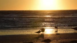 Sunset on the Beach