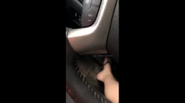 Spider Scare!