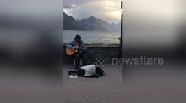 Busking duo, man and his dog duet their way into the public's heart