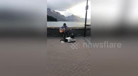 Newsflare Edit - Newsflare Edit - Dog busks his way into your heart
