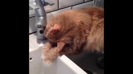 Help! Got the water running, but off??