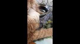 BUSTED playing with my water bowl..