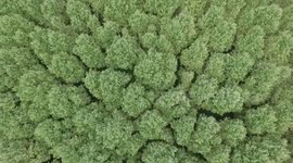Aerial video of the day and the first time