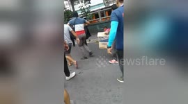Escaped python sparks panic on busy road during rush hour