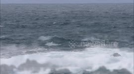 Basking shark filmed leaping out of the water off the Irish coast