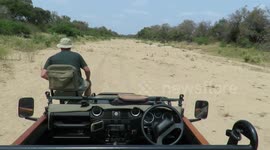 Ranger performs stunt with his 'self-drive' safari vehicle