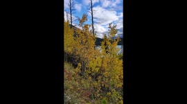 Autumn views in Banff National Park