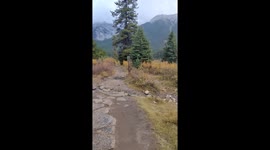 Autumn Stroll in Banff National Park