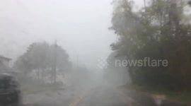 Damaging winds impact Ontario