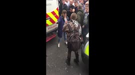 A lone Antifa hero.