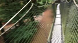 Walking on tree tops