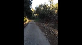 Travel in syria