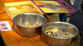 Zookeepers make special festival mooncakes for animals