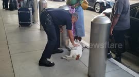 Dogs just love cops and cops love dogs at Los Angeles International Airport