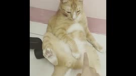 When my bossy cat doesn't want to play with me :D