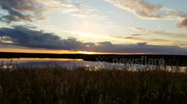 Hang out spot for geese, ducks or swans.