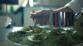 Superfood Austern - Leckere Alleskönner
