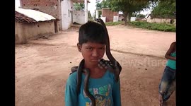Indian boy's best friend is a snake