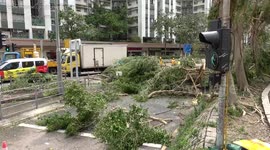 Aftermath of Typhoon Mangkhut in Hung Hom & Whampoa, Kowloon (Hong Kong)