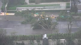 Driver removes fallen tree from road, continues driving during Typhoon Mangkhut