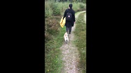 Having a pug is having a best friend