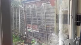 Nightmare Neighbours wreaking havoc down Birmingham street