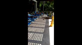 Wild Animals in Blue bay Mexico Resort