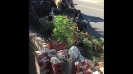 Hurricane Florence cleanup