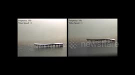 Tiny robot with 'caterpillar' legs could be used to deliver drugs inside human body