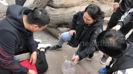 Terrifying scene as tree collapses on top of teenager crossing the street