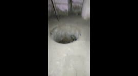 Family finds cobra hiding in hearth in Indian village