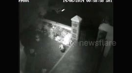 Plant thief stolen thief students plymouth uk