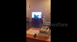 Biscuit the dog does his own investigative work as crime show airs