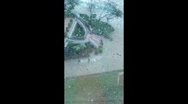 People battling Typhoon Mangkhut