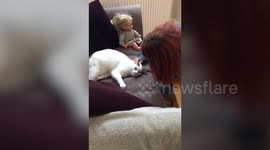 Owner reunited with cat that went missing for six years