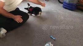 Ahhhhh!