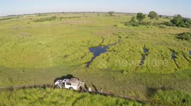 Moremi Botswana drone video