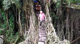 Natural wonder of West Sumatra's bridge made out of naturally growing tree roots