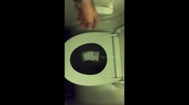 airplane wc