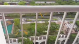 Owner releases his pet parrots... and they return to his balcony