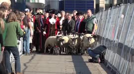 Alan Titchmarsh Take Sheep Over London Bridge