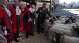 Alan Titchmarsh Helps Woolmen's