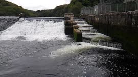 Lopwell Dam salmon leap Dartmoor devon
